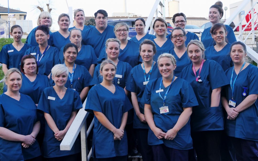 Devon’s first cohort of Trainee Nursing Associates celebrate as they complete their training